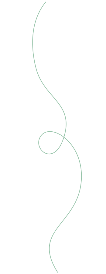 Clothing store in raipur